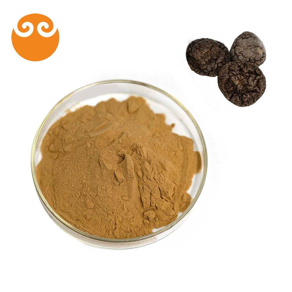 China factory shiitake mushroom extract powder lentinan/shiitake mushroom powder polysaccharide 40%