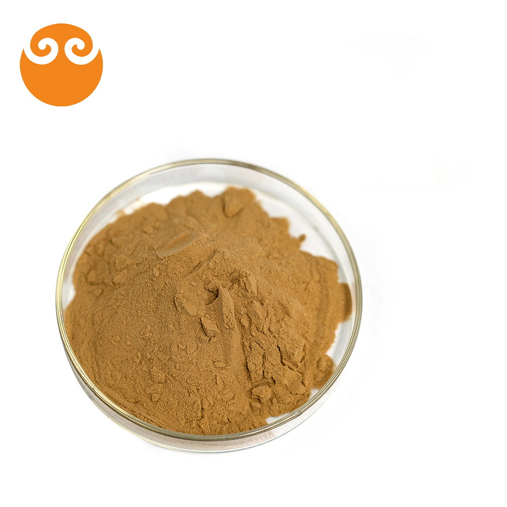 China factory shiitake mushroom extract powder lentinan/shiitake mushroom powder polysaccharide 40%