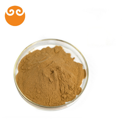 China factory shiitake mushroom extract powder lentinan/shiitake mushroom powder polysaccharide 40%