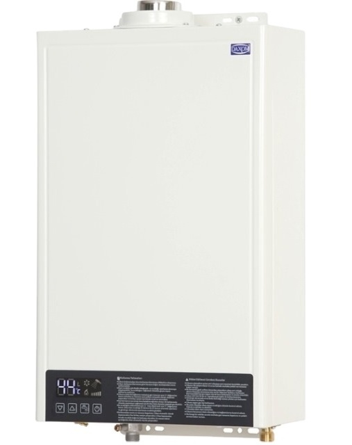 Gas water heater with CE Low NOx  12 liter/min Constant temperature Balanced type New product