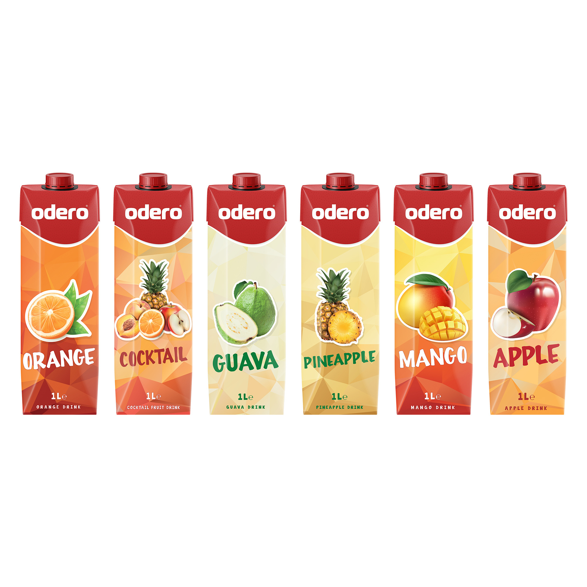 High Quality Fruit Juice Drinks  Juice in Carton Pack 1000 ml Best Prices