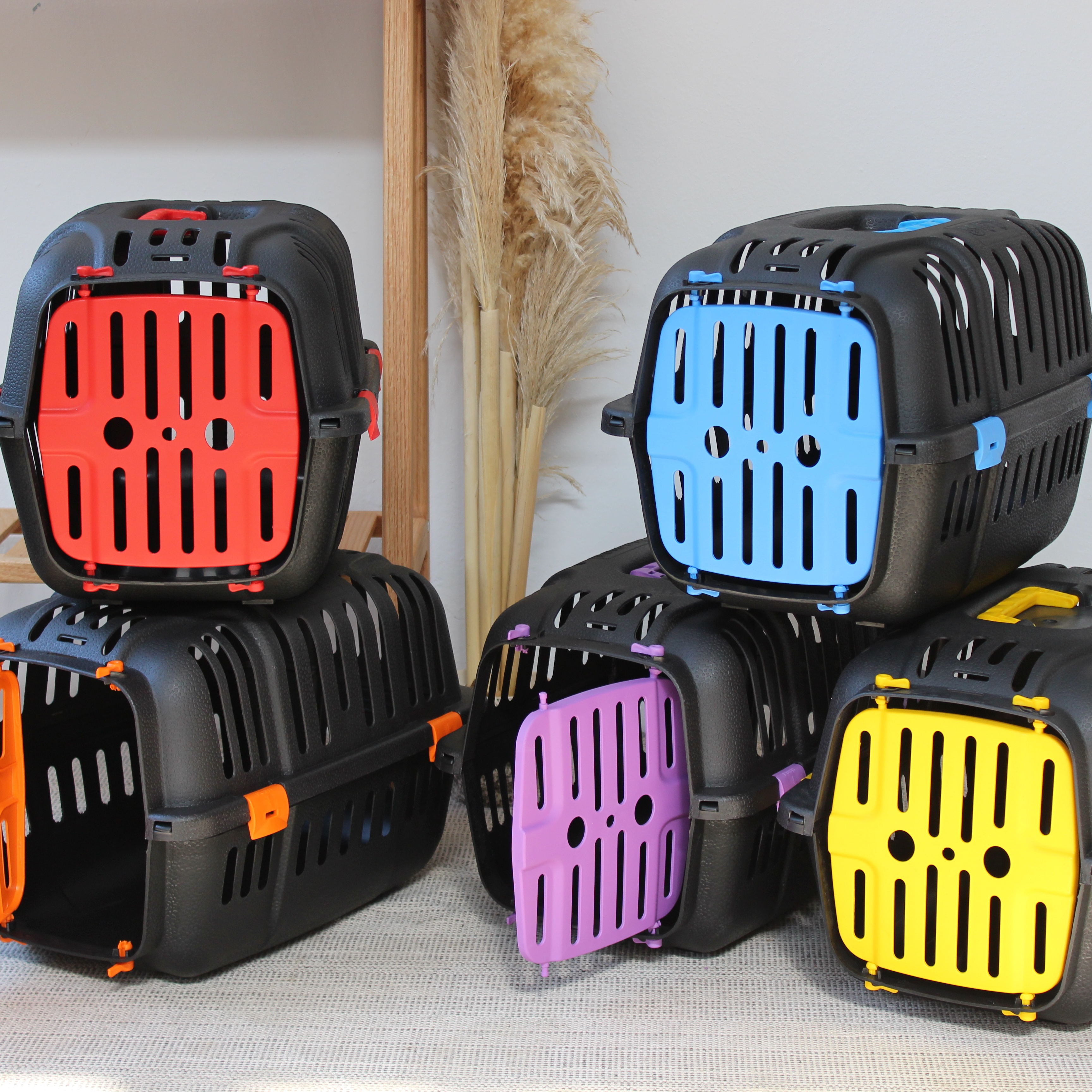 Carrier Box Wholesale High Quality Plastic Cat Bag and Dog TR Sustainable Pet Carrier From the Factory