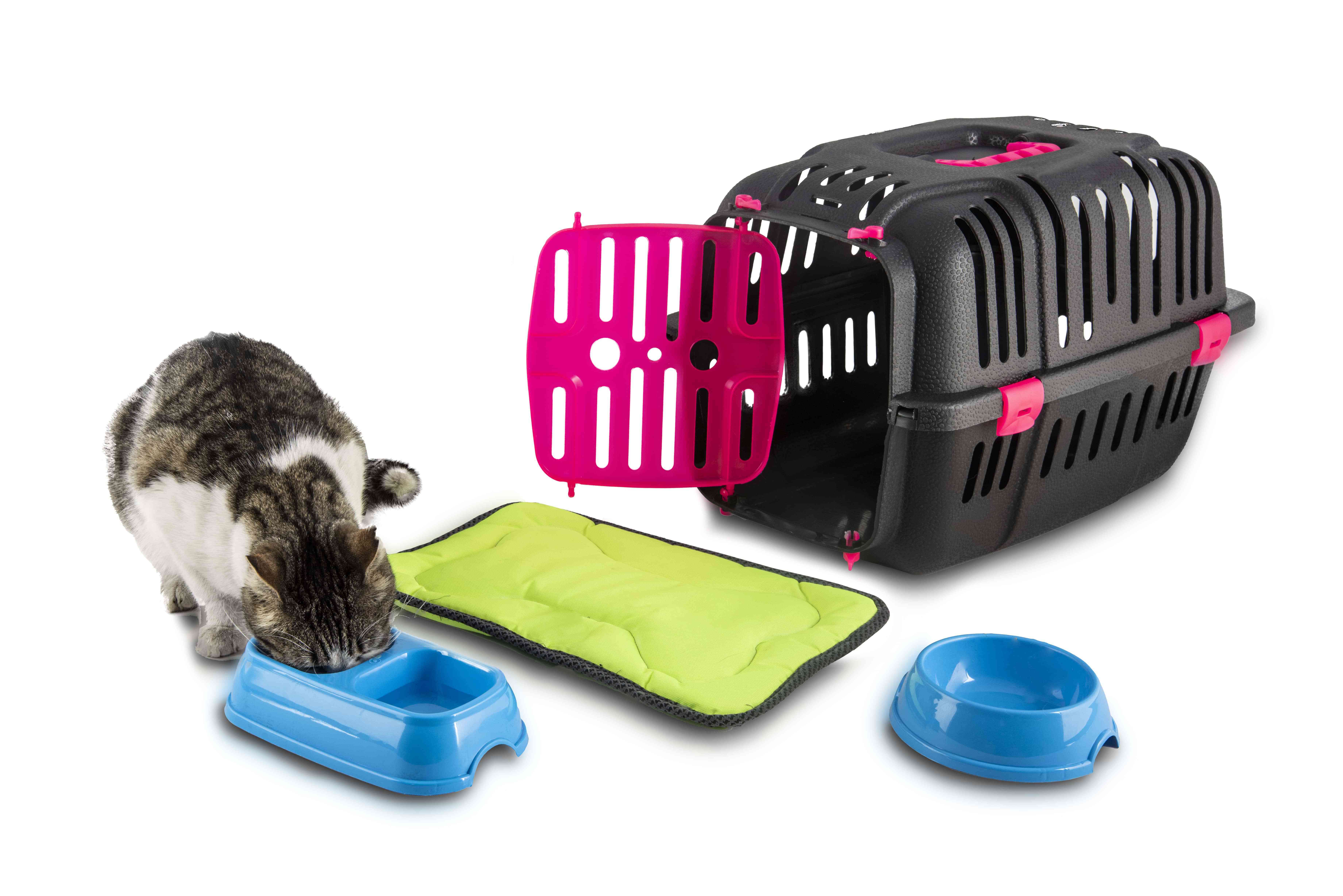 Carrier Box Wholesale High Quality Plastic Cat Bag and Dog TR Sustainable Pet Carrier From the Factory