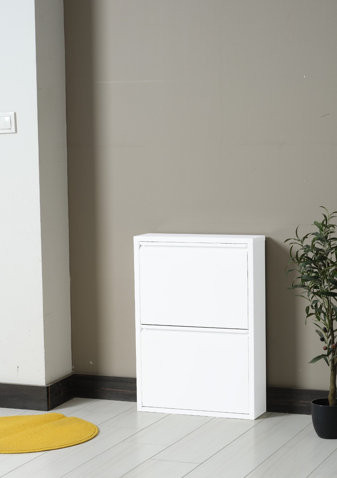 Metal Shoe Cabinet 2 Layers with High Quality Wall Mounted Modern Shoe Cabinet