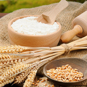 all-purpose premium wheat flour ready for export