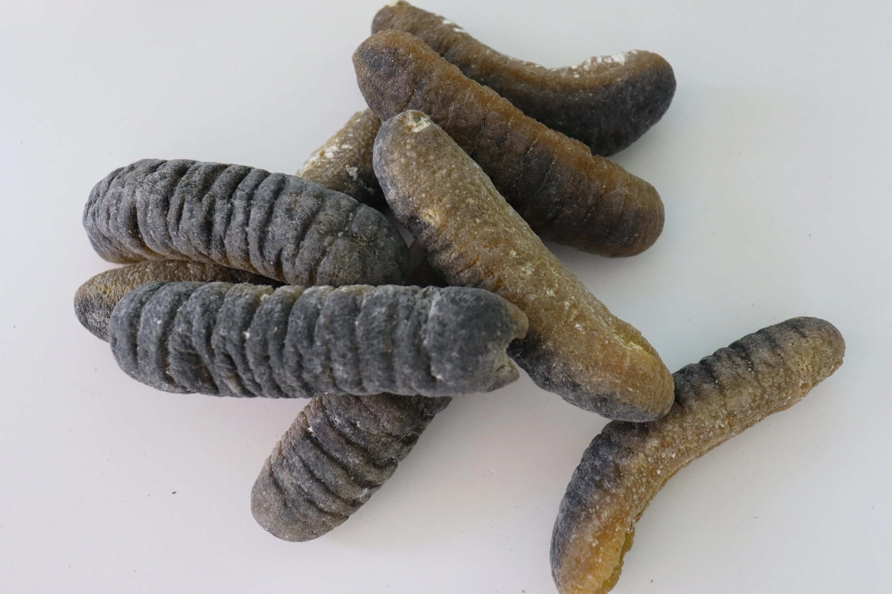 High Quality Dried and Frozen Bald Sea Cucumber, Natural Wholesaler Sea Cucumber best market prices