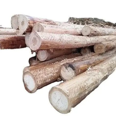 Bulk Wholesale Price Pine Round Logs Timber High Quality Dried Pine Wood Log Pine Saw Logs In Cheap Price White Ash Kay