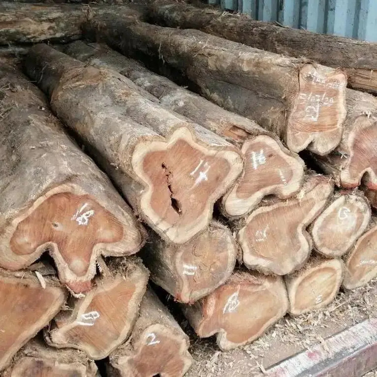 Bulk Wholesale Price Pine Round Logs Timber High Quality Dried Pine Wood Log Pine Saw Logs In Cheap Price White Ash Kay