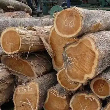 Bulk Wholesale Price Pine Round Logs Timber High Quality Dried Pine Wood Log Pine Saw Logs In Cheap Price White Ash Kay