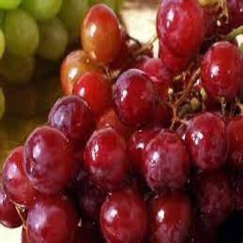 Fresh grape sweet grapes fresh grape fruit