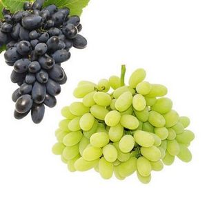 Fresh grape sweet grapes fresh grape fruit