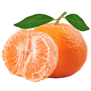 New Fresh Yellow Orange Natural Fresh Orange Fruit, Navel Orange