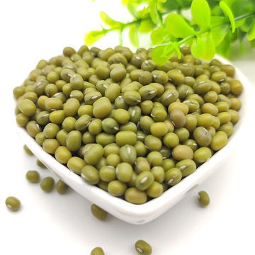 Wholesale Green Mung Beans Factory Price Green Mung Beans