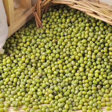 Wholesale Green Mung Beans Factory Price Green Mung Beans