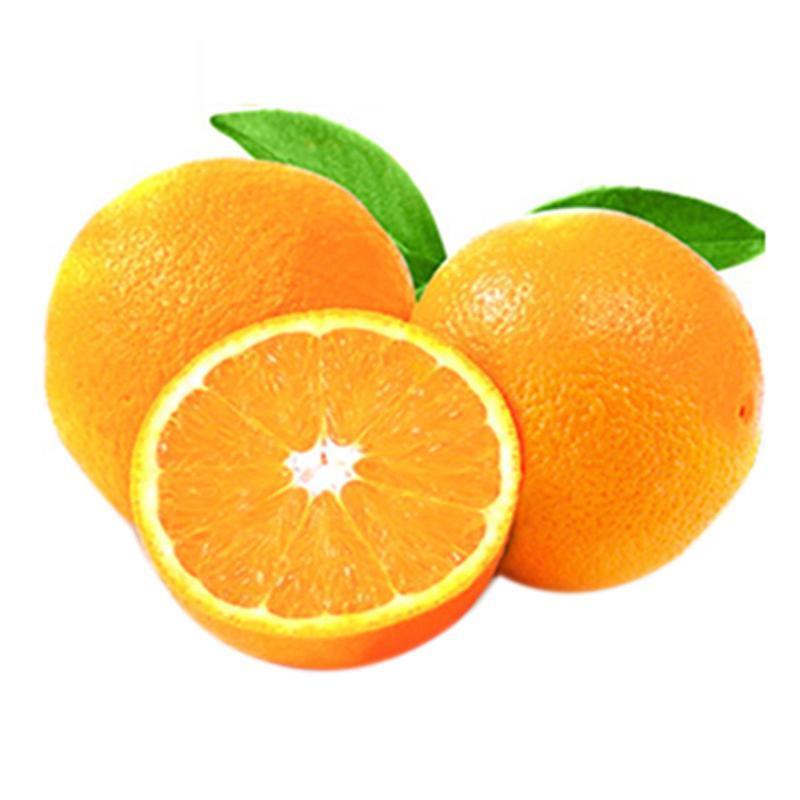 New Fresh Yellow Orange Natural Fresh Orange Fruit, Navel Orange