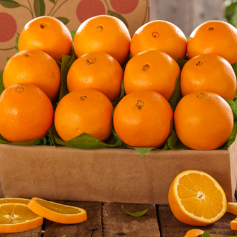 New Fresh Yellow Orange Natural Fresh Orange Fruit, Navel Orange