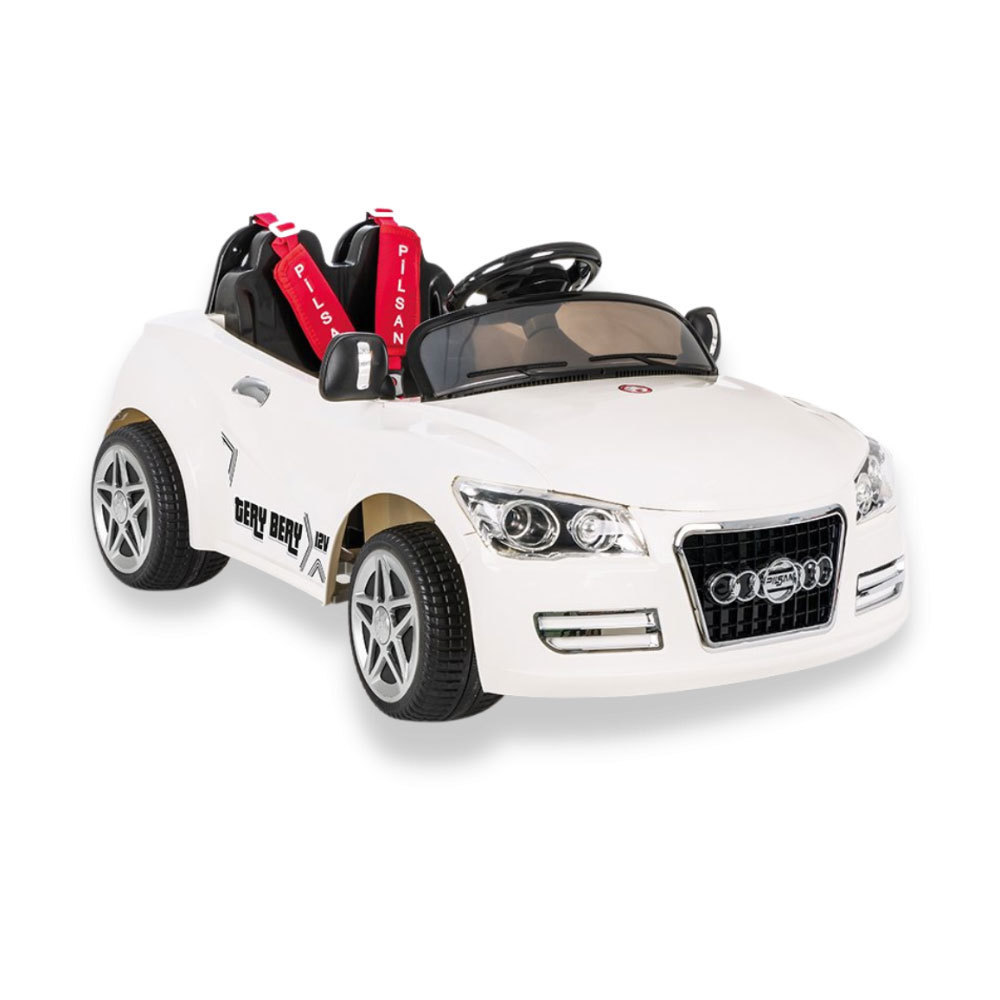 Terry Bery Kids Ride On Car With Remote Control 12V Battery Powered Double Person, Electronic Horn, MP3