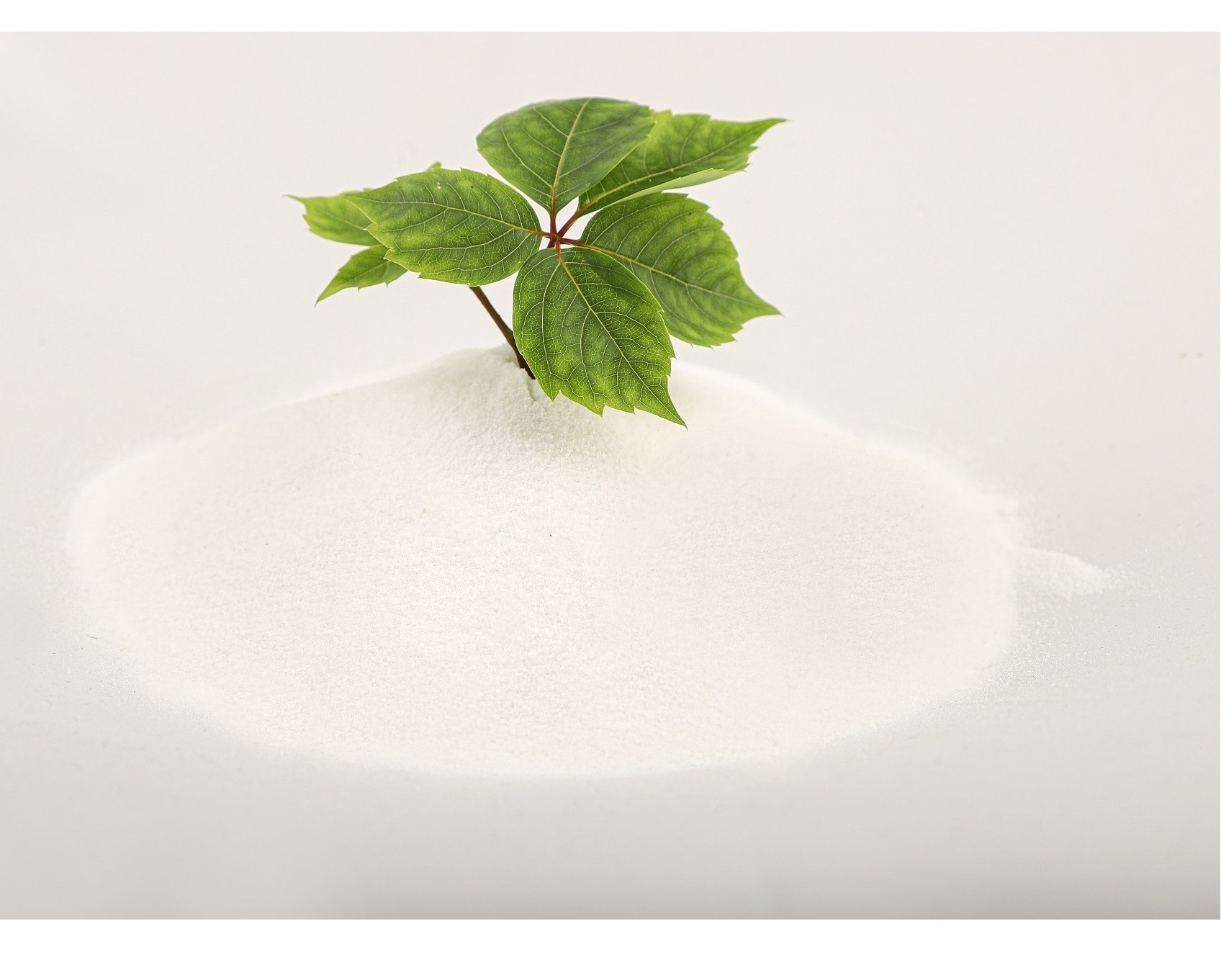 Powder Potassium Nitrate Agricultural Fertilizer  Efficient Agricultural Fertilizer Water Soluble