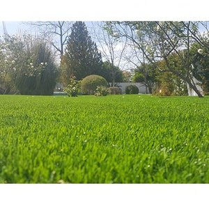 made in Turkey best quality artificial grasses for sports & landscape indoor and outdoor and indoor grass for pets and soccer