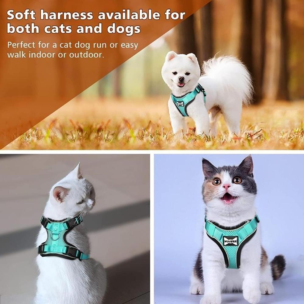 Cat Harness Leash for Kitten Puppy Escape Proof Cute Pet Vest Harnesses for Small Dog Cat | Adjustable Soft Kitty Harness