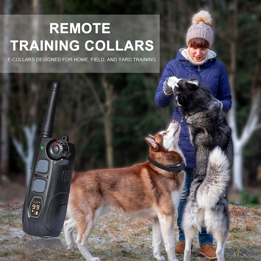 wholesale hunting dog supplies electric shock collar long range waterproof gps dog hunting collar remote training collars