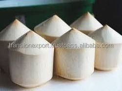 FRESH YOUNG COCONUT WATER GREEN TENDER INDIA TRIMMED DIAMOND SHAPE OEM CUSTOM PACKING