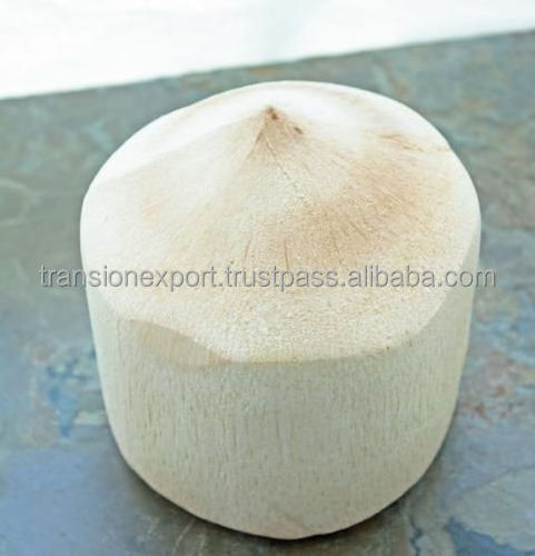 FRESH YOUNG COCONUT WATER GREEN TENDER INDIA TRIMMED DIAMOND SHAPE OEM CUSTOM PACKING