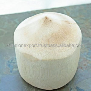 FRESH YOUNG COCONUT WATER GREEN TENDER INDIA TRIMMED DIAMOND SHAPE OEM CUSTOM PACKING