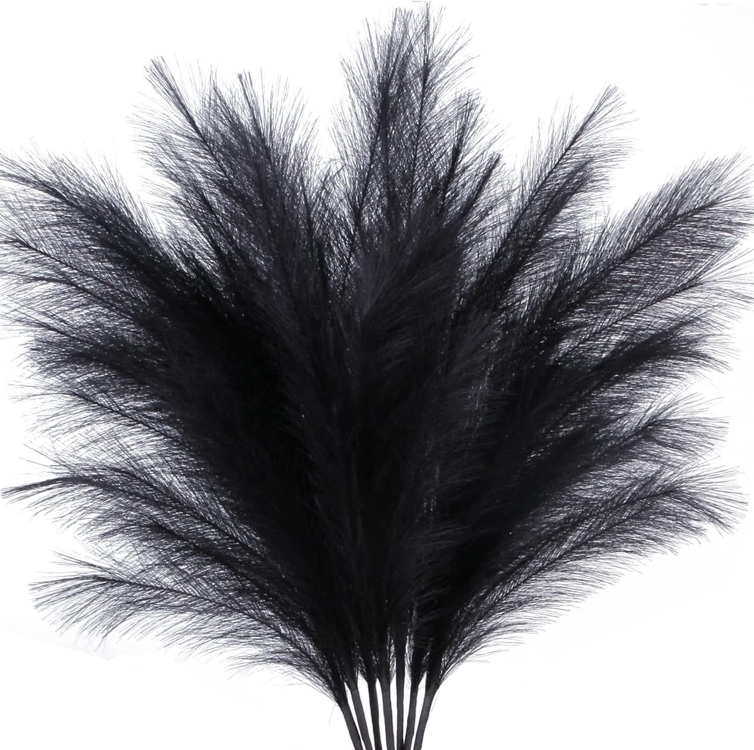 Dark Style 50-150cm Customizable Artificial Pampas Grass Pure Black Pampas Grass Halloween Decorations Black Pampas Grass