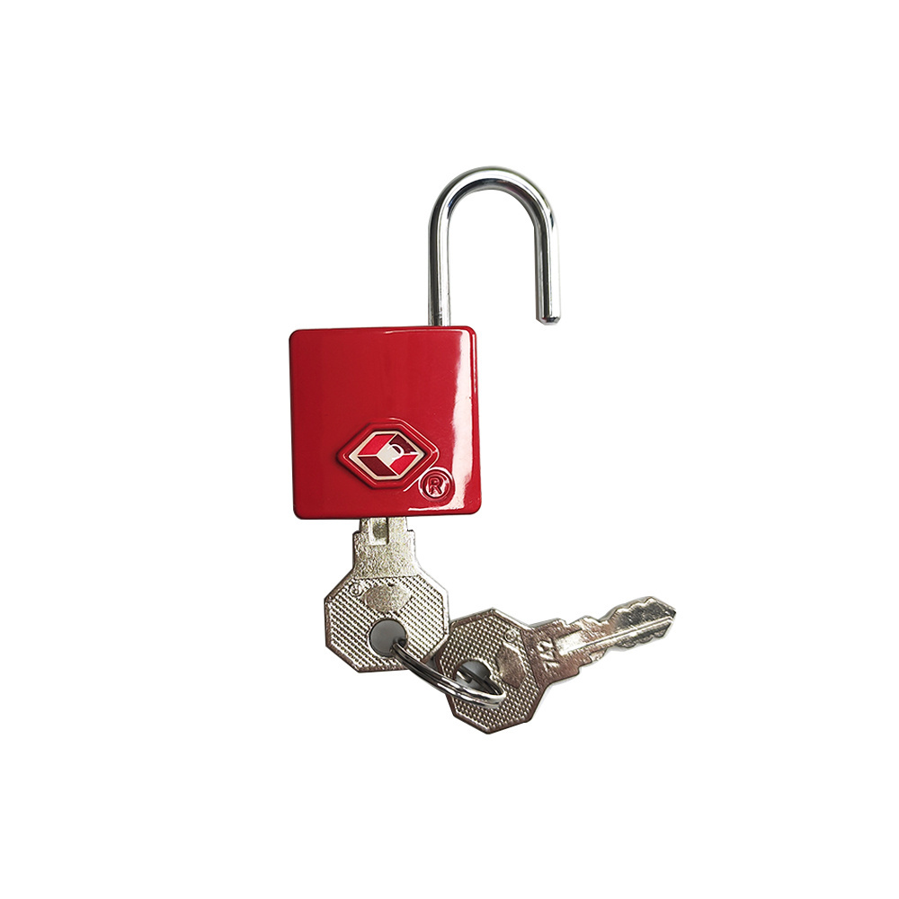 Custom OEM Logo Square Small Pad Lock with 2 Keys Luggage Padlocks, Zinc Alloy Keyed Padlock for School Gym Suitcase