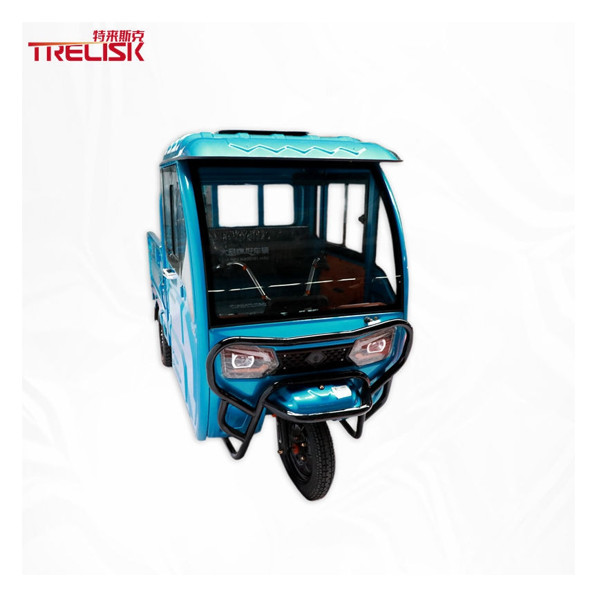 Custom Printed Electric Tricycles with Acid Lead Battery - Roaming Shelter, Pickup Quality