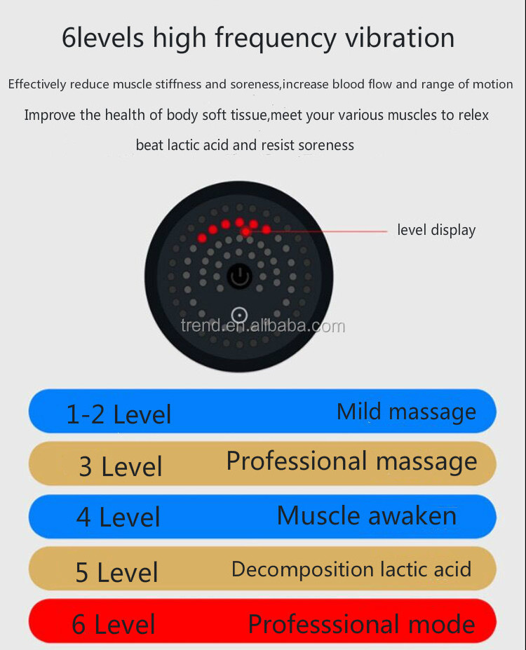 Private Label Deep Tissue Booster Percussion Vibration Massage Gun Chiropractic 12-24v Electric Muscle Massage Gun