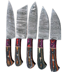 Handmade Damascus Kitchen Chef's Knife Set 5 Pieces Forging Mark Blades Kitchen Knives with Bag Model No 176