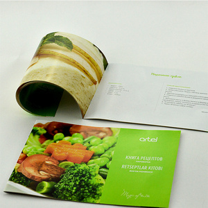 Customized Printed Flyer Trifold Brochure Instruction Manual Advertising Leaflet Takeout Menu Poster Printing