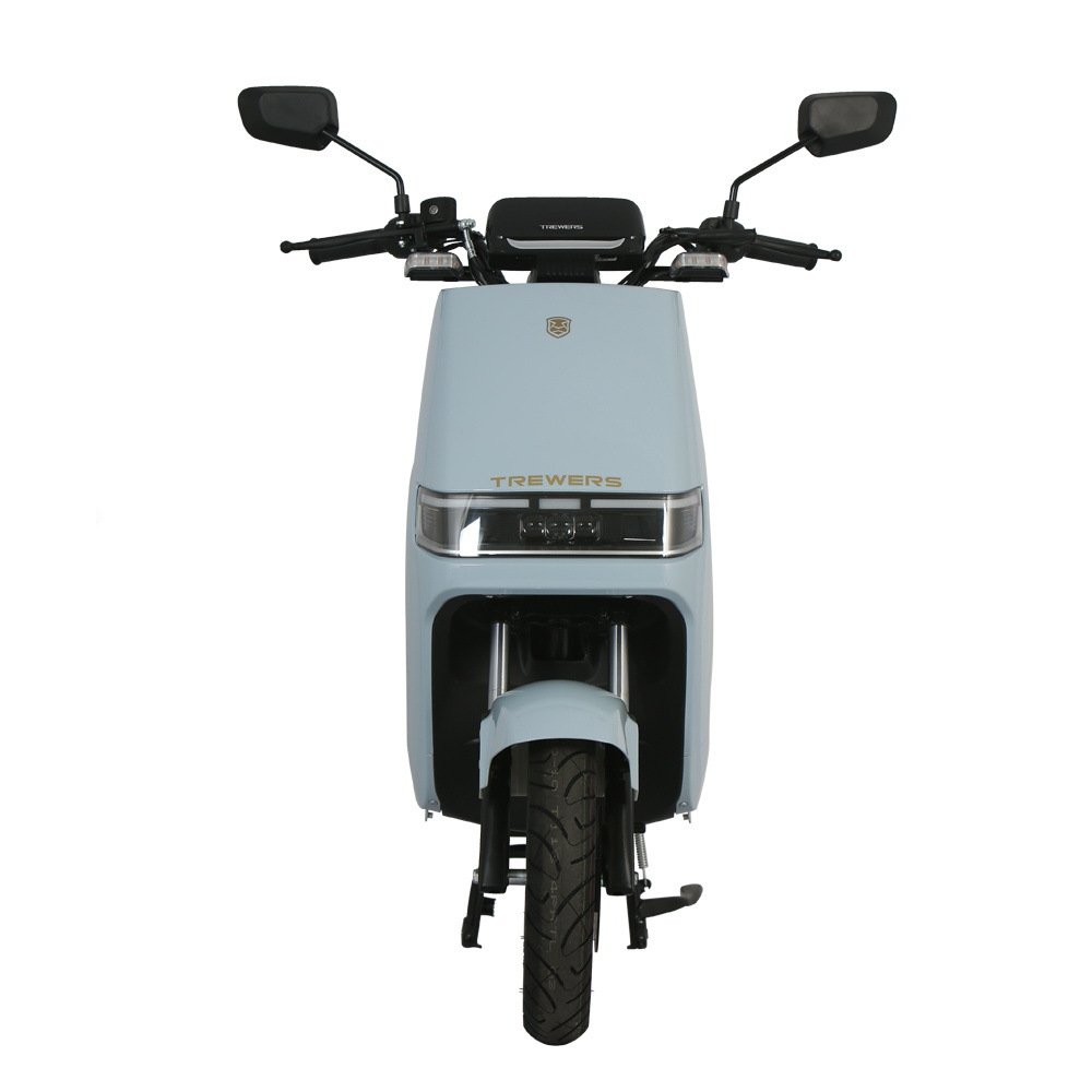 Wholesale electric motorcycle Pro 1000W 48V electric moped adult electric trike motorcycle