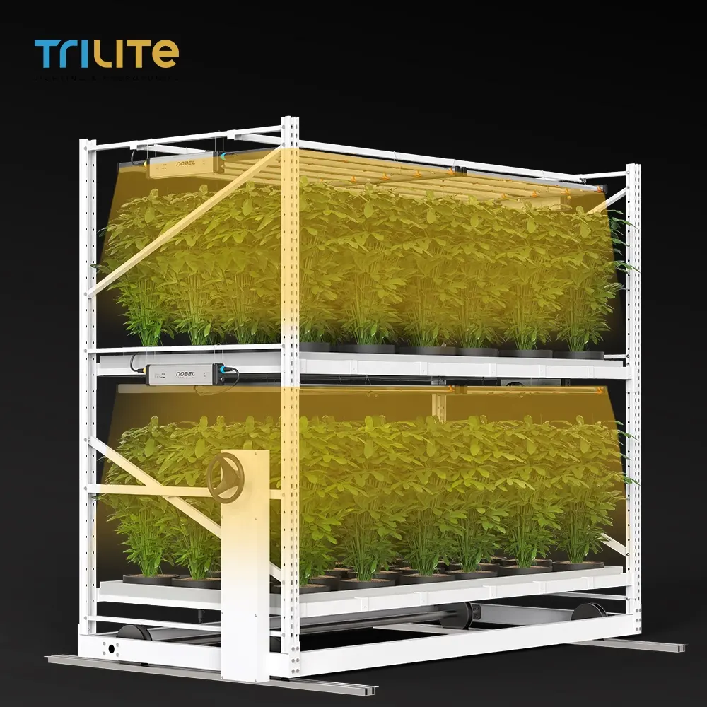 Best Selling Greenhouse 4x8 Rolling Bench Tray Grow Bench Grow Table Hydroponic