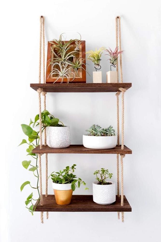 Wood Hanging Shelf Wall Swing Storage Shelves Jute Rope Organizer Rack 3 Tier