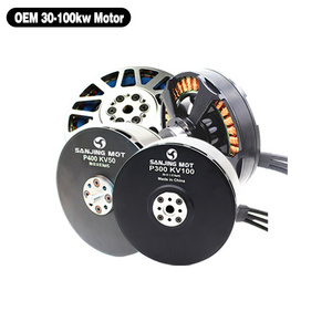 Factory Direct Customized 30kw 40kw 50kw Brushless BLDC Electric Motor for Electric Paramotor