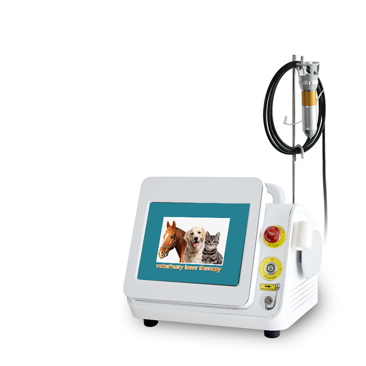 2022 Triangelmed veterinary laser therapy 980nm 60w class iv laser machine