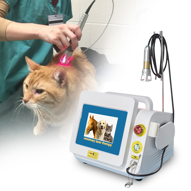 2022 Triangelmed veterinary laser therapy 980nm 60w class iv laser machine