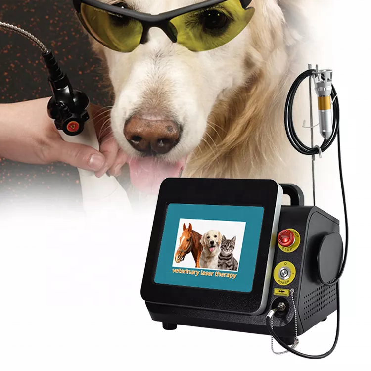 TRIANGEL Class Iv Laser Therapy Veterinary For Horse Therapy Equipment 30w 980nm Vet Therapeutic Laser