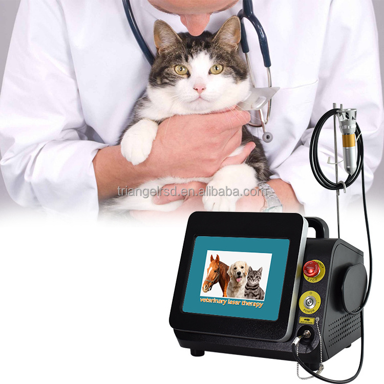 980 laser animal physiotherapy veterinary laser for horse and dog class 4 laser therapy for physiotherapy veterinary machine