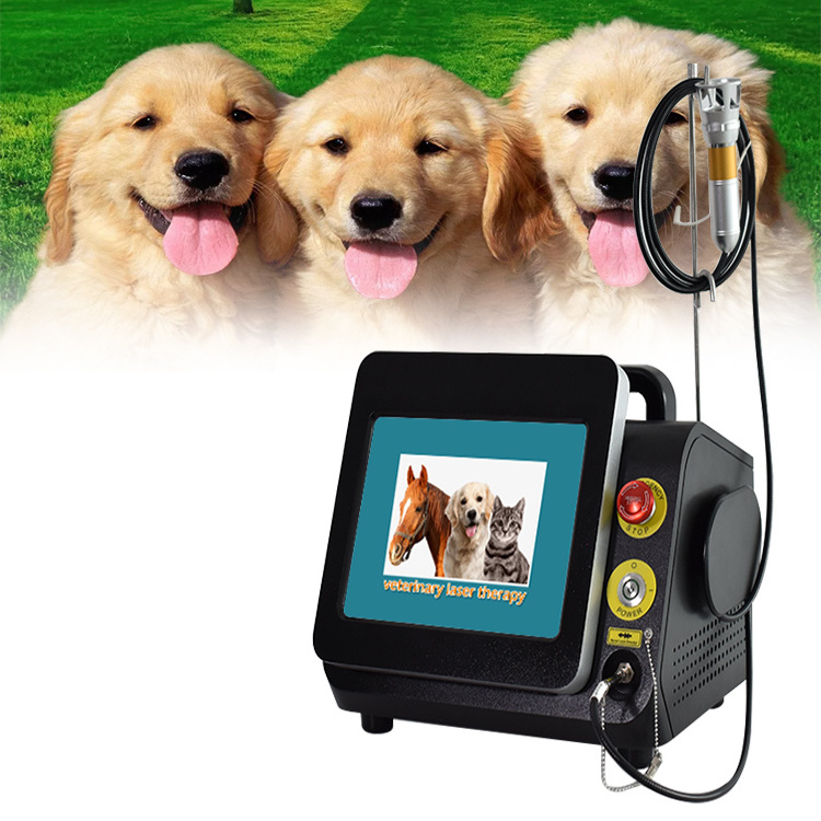 2024 980nm diode Veterinary laser horse therapy dog laser therapy laser therapy for pain machine