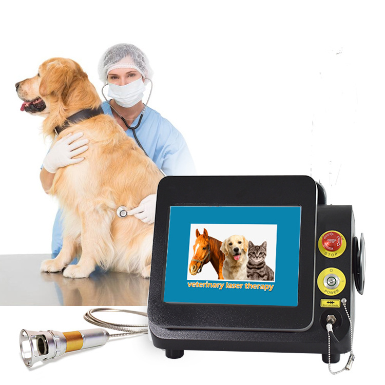 980 laser animal physiotherapy veterinary laser for horse and dog class 4 laser therapy for physiotherapy veterinary machine