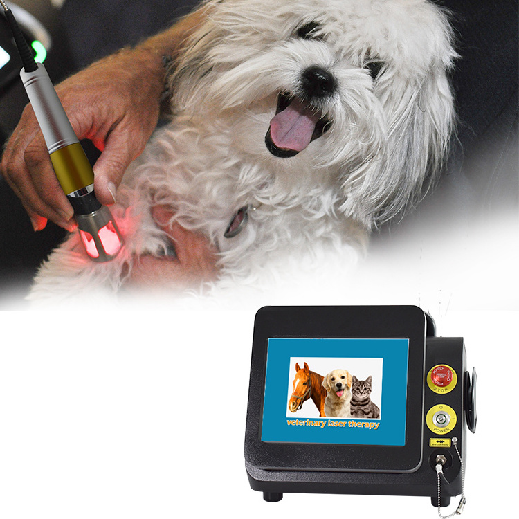 2024 980nm diode Veterinary laser horse therapy dog laser therapy laser therapy for pain machine