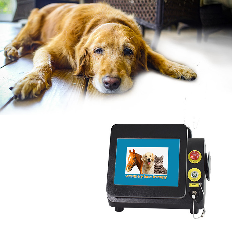 2024 980nm diode Veterinary laser horse therapy dog laser therapy laser therapy for pain machine