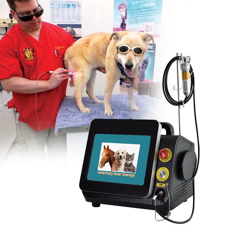 Best sale Veterinary Surgery & therapy 808nm and 650nm Veterinary laser-Diode Therapy laser pain relief 808 diode laser