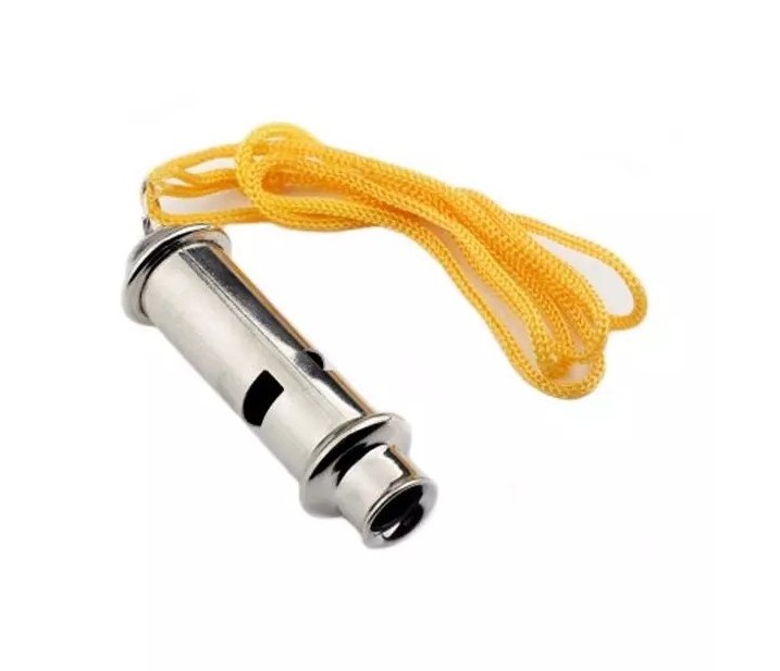 Stainless Steel Sports Whistles Loud Crisp Sound Bulk Whistles with Lanyard