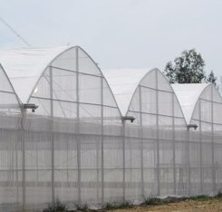 Plastic film used greenhouse frame for sale