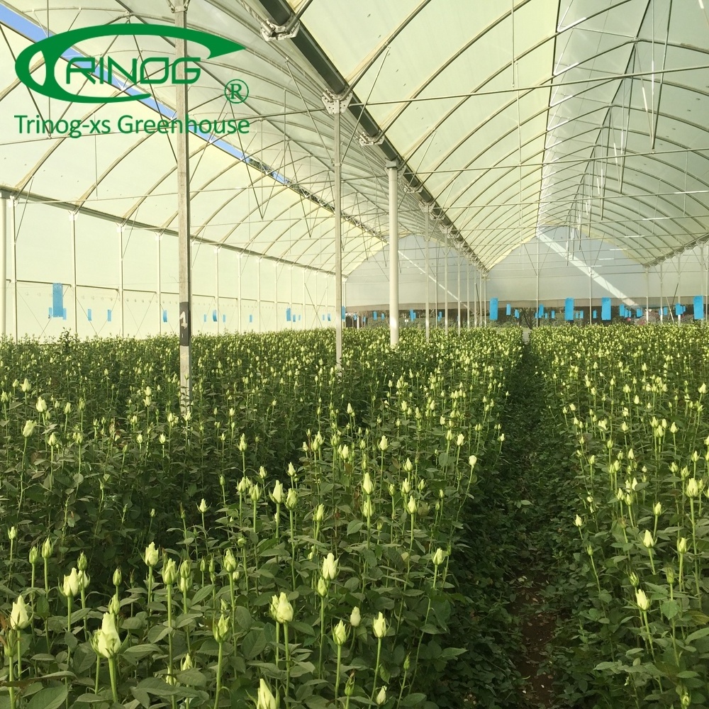 Plastic film used greenhouse frame for sale